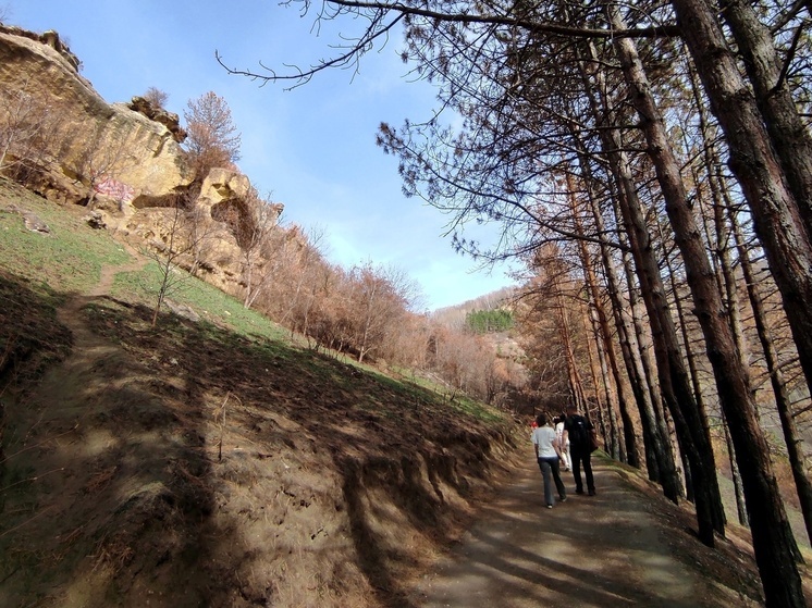 Для создания туристической тропы на Северном Кавказе подготовили законопроект