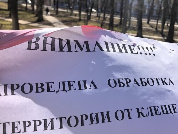 Противоклещевую обработку провели в Вологде