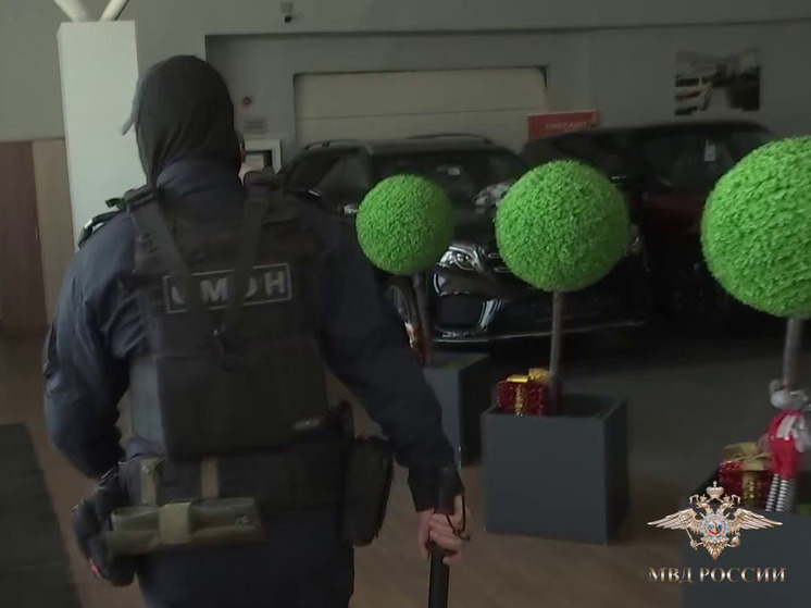 Волк: в Москве задержали действовавших от имени автосалонов шестерых мошенников