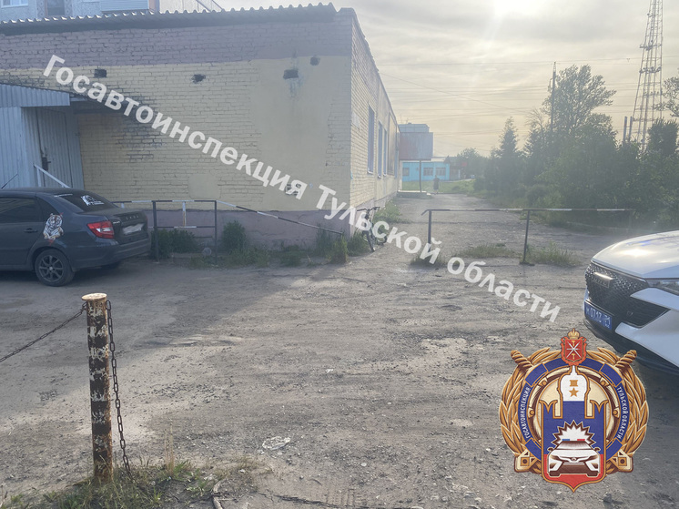 В Новомосковске автоледи на Renault снесла 12-летнего велосипедиста
