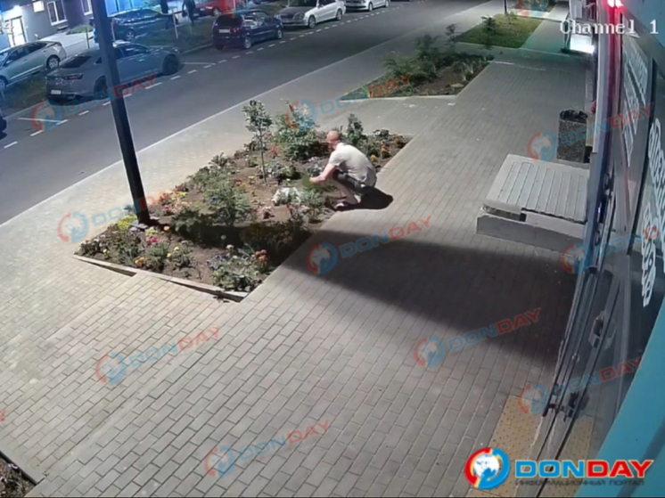 В Ростове мужчина обнес клумбу с цветами на Левенцовке