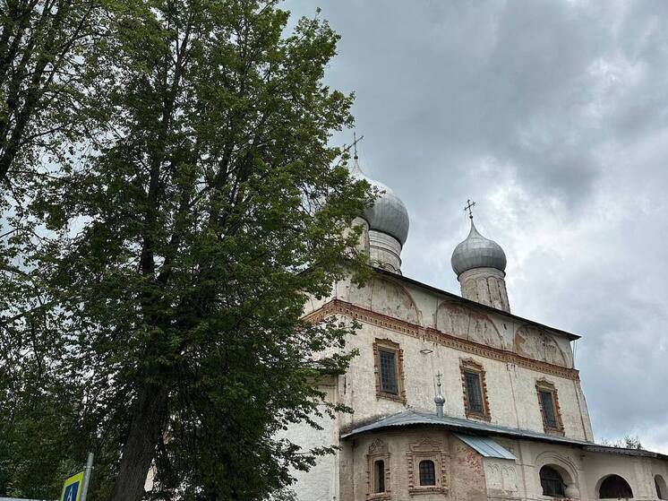 В Новгородской области 29 мая будет по-летнему тепло и немного дождливо