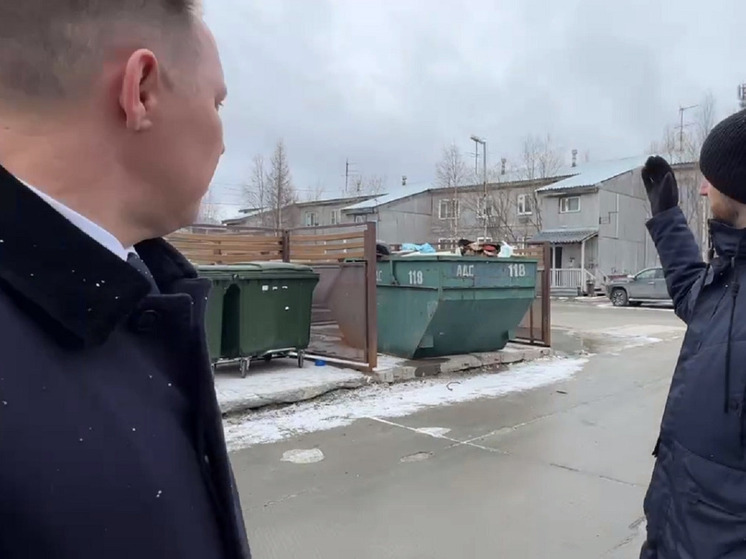 Камеры для борьбы с вредителями чистоты установят у мусорных контейнеров в Губкинском
