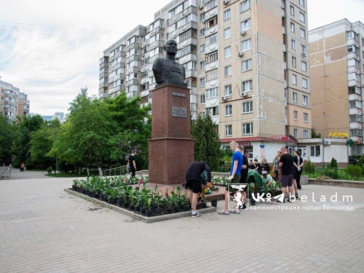 В Белгороде волонтерские отряды школьников озеленили город