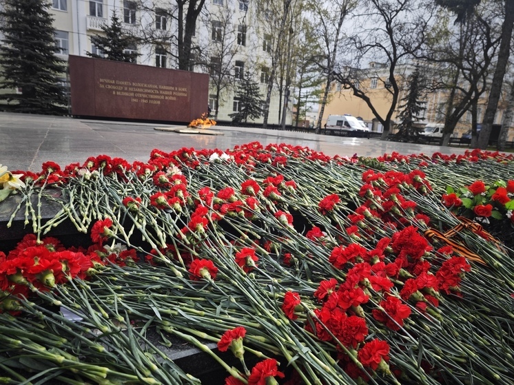 Вологжане могут найти участников ВОВ с проектом «Из забвения в бессмертие!»
