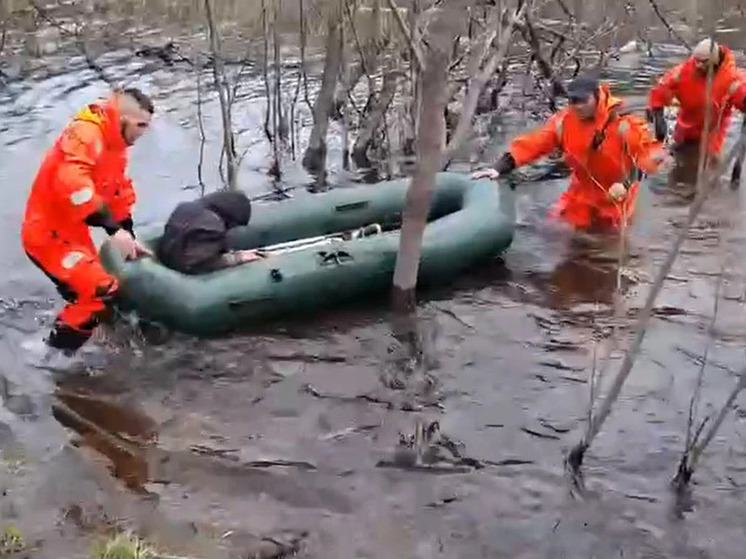 Две недели продолжались поиски пропавшего подростка в соседнем регионе - мальчик жив