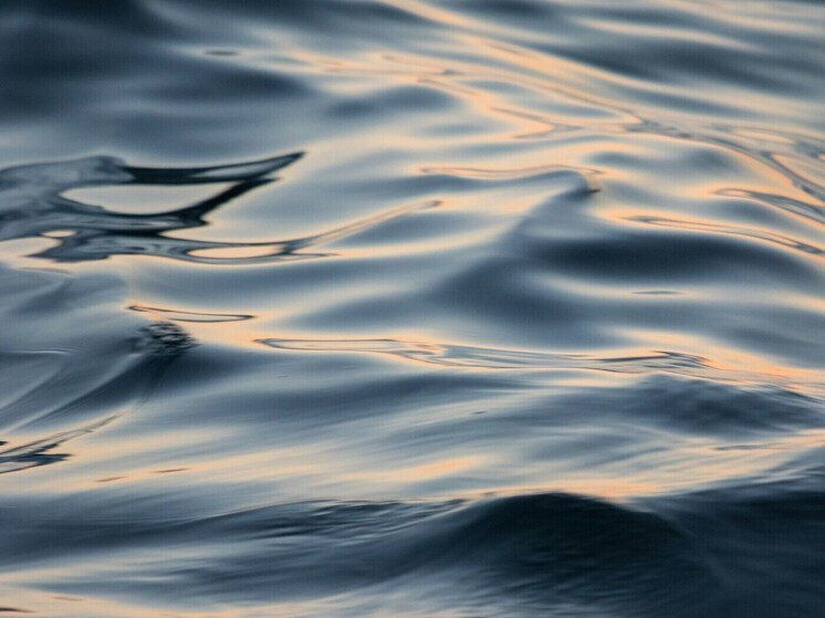 Вода на двух пляжах Воронежа оказалась непригодной для купания