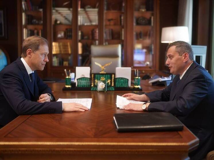 Хинштейн передал Мантурову обращения по поддержке курских предприятий