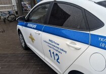 За прошедшую неделю мошенникам удалось вытянуть из жителей Санкт-Петербурга баснословную сумму — 104 677 773 рублей. Об этом «МК в Питере» сообщил источник в правоохранительных органах.