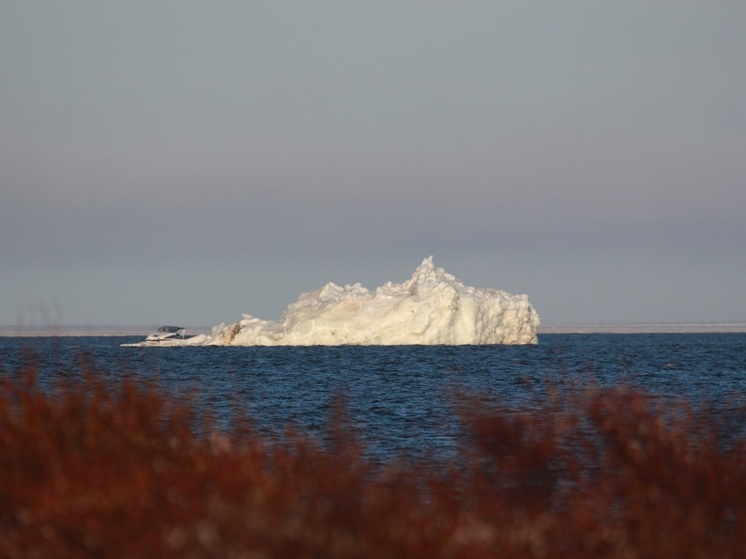 Айсберг в несколько раз выше судна обнаружили в НАО