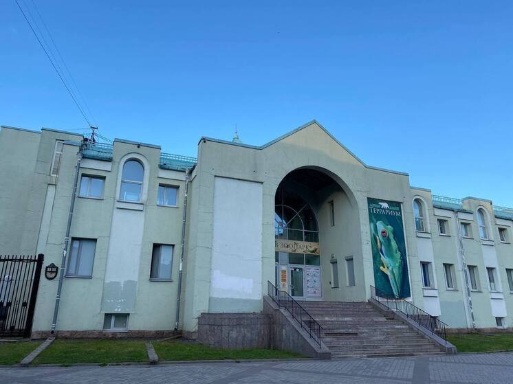 Бесплатный зоопарк и мороженое будут ждать всех детей Петербурга в День защиты детей