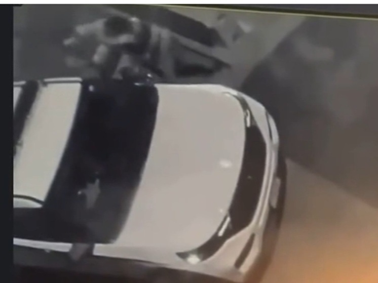 Две сотрудницы Секретной службы США подрались у особняка Барака Обамы