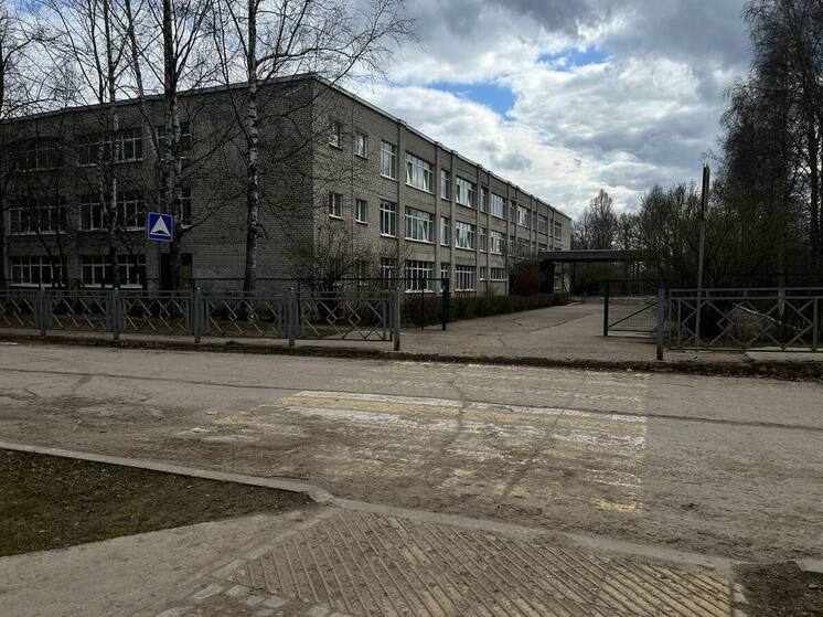 Петербургскую выпускницу раскритиковали за откровенный наряд на последнем звонке