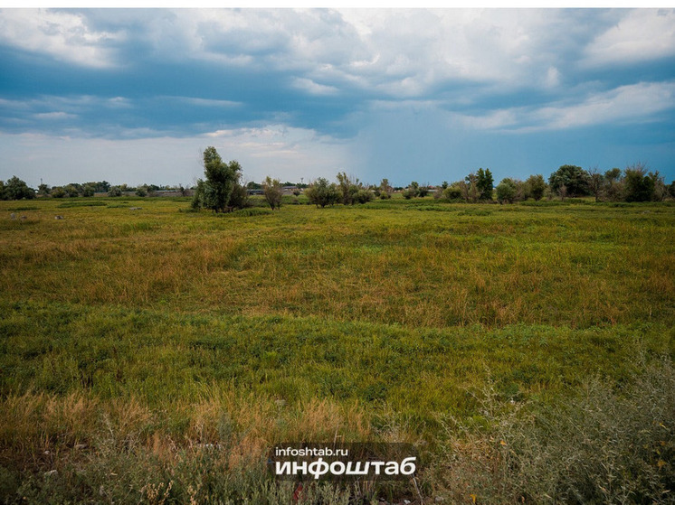 В Астраханской области высадят поздний картофель и лук