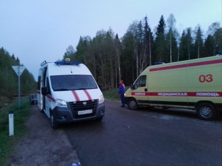 Рыбака с приступом астмы эвакуировали из леса в Холмогорском округе