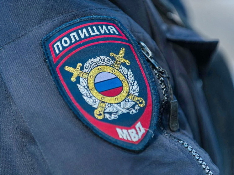 В Санкт-Петербурге правоохранители задержали девушку, допустившую акты неуважения к государственным символам и специально испортившую российский паспорт