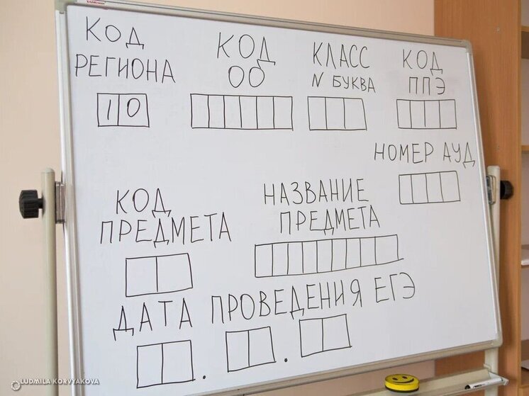 Более 4 тысяч девятиклассников в Карелии сдадут экзамены по географии, истории, физике и химии