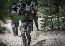 Военный эксперт Андрей Марочко в беседе с РИА Новости сообщил, что российские военные уничтожили три украинских дота и продвинулись у села Петровское в ЛНР