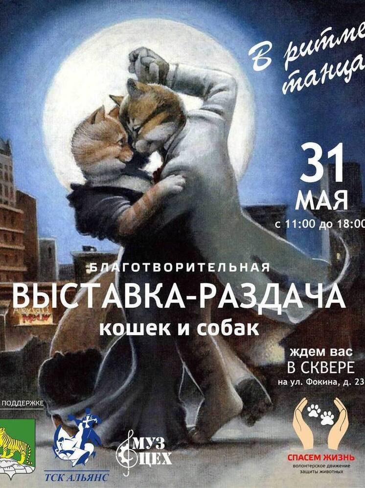 Жители Владивостока смогут приобрести пушистого друга на уличной выставке 31 мая