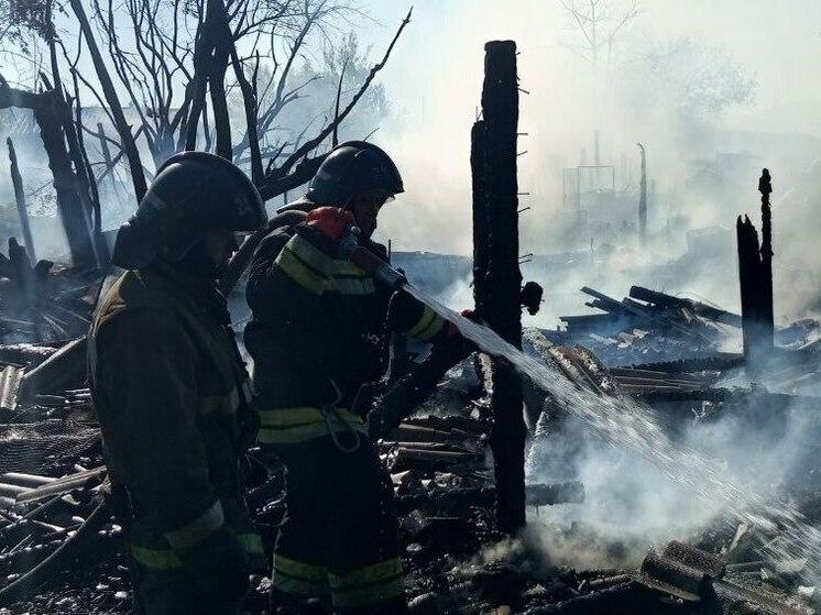 В Тамбовской области 28 мая горели два сарая и два автомобиля