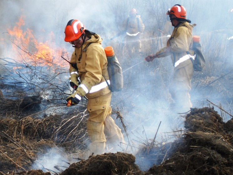 Крупный лесной пожар удалось стабилизировать в Хабаровском крае