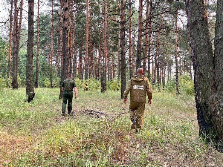 В Костромской области ввели особый противопожарный режим