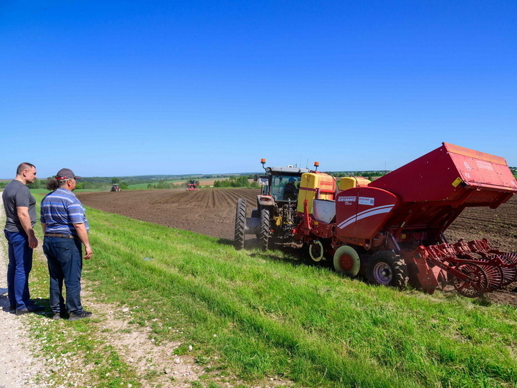 Депутаты Марий Эл предлагают снизить НДС на переработанные овощи