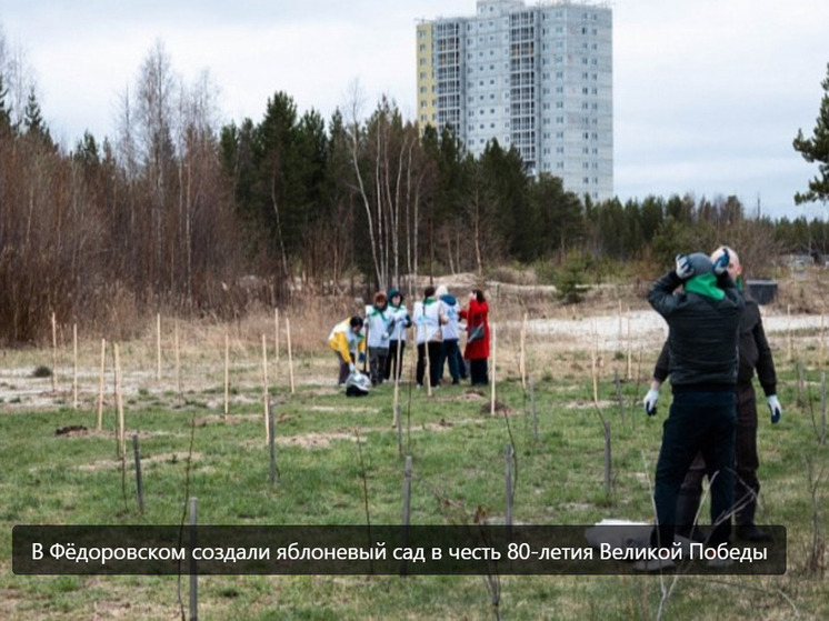 В Федоровском высадили яблоневый сад