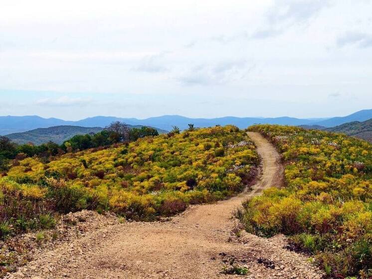 Экомаршрут «Семиверстка» вновь открыли для всех желающих в Приморском крае
