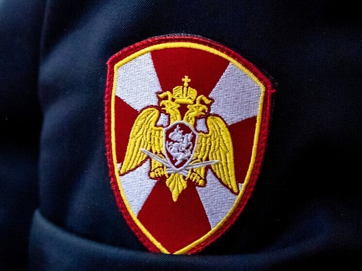 В Магнитогорске мужчина пытался сбежать от росгвардейцев на самокате