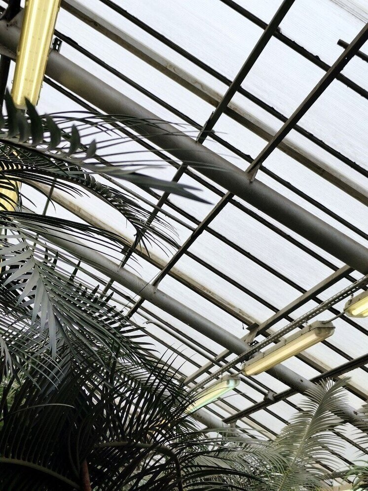 Агроклассы появятся в четырех школах Благовещенска в Амурской области