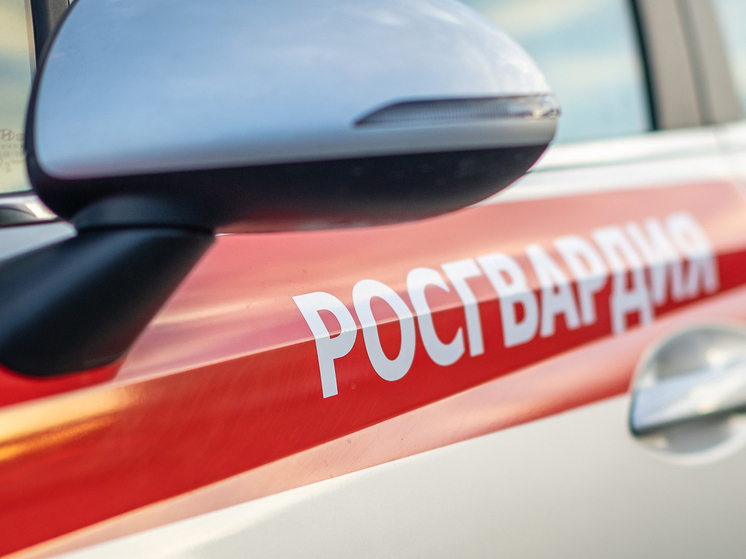 Пензенская росгвардия задержала женщину, ударившую своего отца ножом
