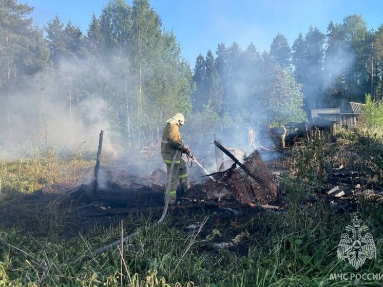 В Тейковском районе сгорело несколько гаражей