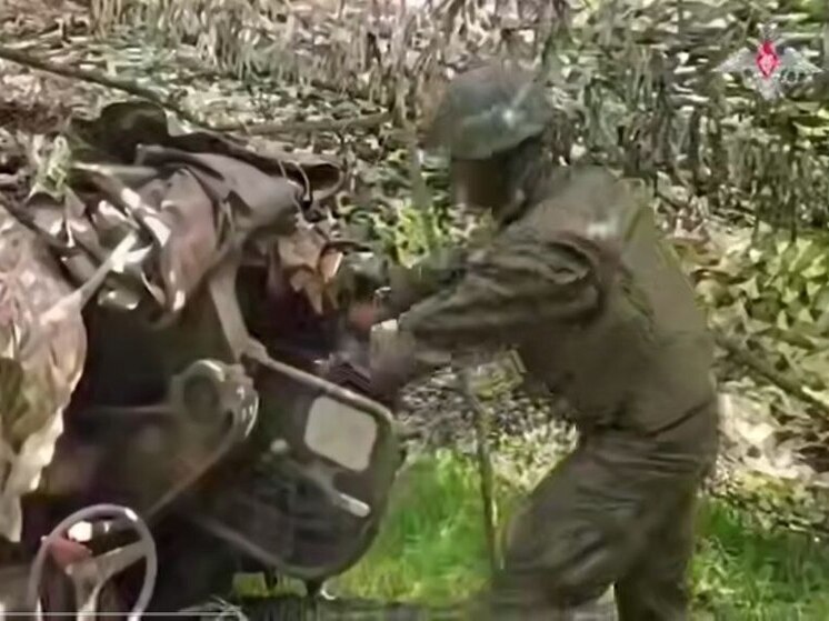 На Запорожье уничтожили спрятавшихся в лесной зоне ВСУшников