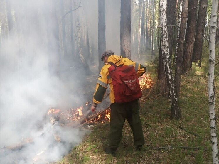 В Приангарье потушили пять лесных пожаров