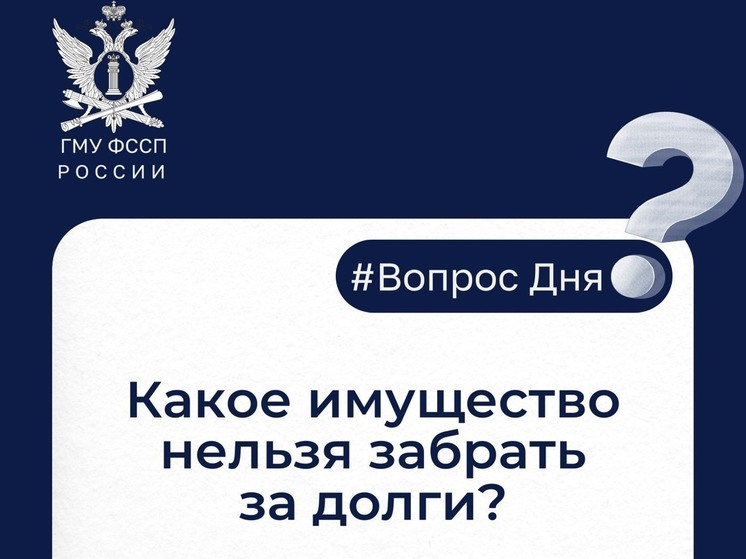 Какие активы защищены от взыскания при наличии долгов