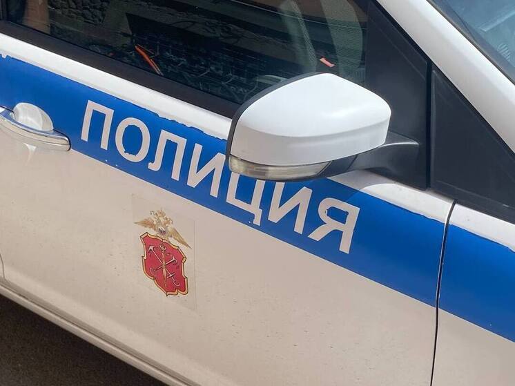 В поселке Тайцы 13-летний мальчик найден мертвым