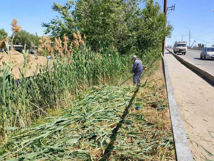 В Астрахани усилена работа по скосу сорной растительности