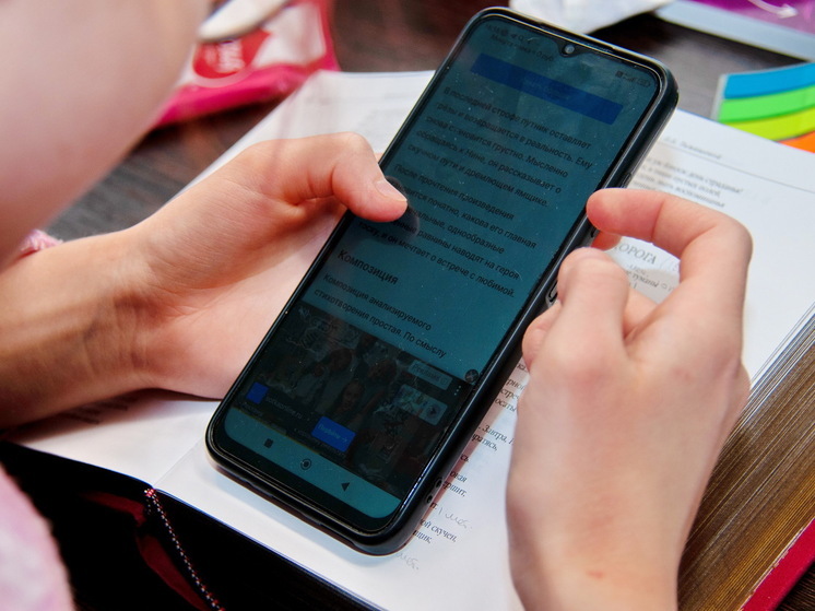 Шадаев: Минцифры прорабатывает интеграцию портала «Госуслуги» с мессенджером Max