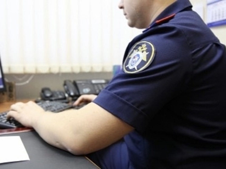 В Ельце будут судить внучку, которая убила бабушку