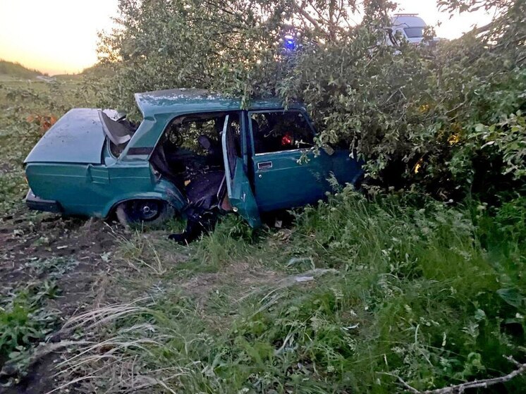 Пьяный подросток на машине врезался в дерево: 3 юношей попали в воронежскую больницу