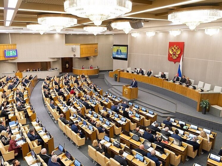Руководитель фракции "Справедливая Россия - За правду" Сергей Миронов предположил, что к угрозам семье руководителя переговорной делегации России по Украине Владимира Мединского может быть причастен Киев, сообщает ТАСС