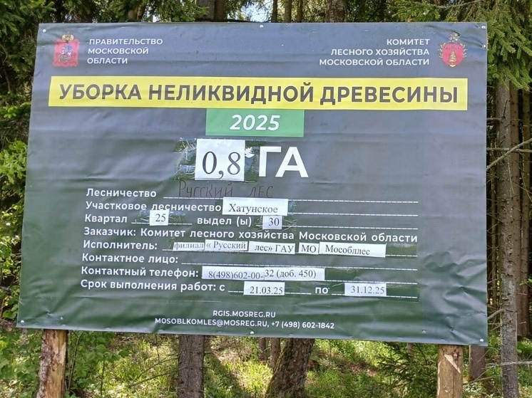 В Серпухове лесные участки очищают от захламленности