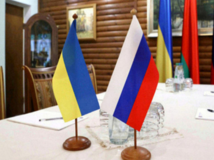 Депутат Чепа: на переговорах в Стамбуле обсудят условия прекращения огня