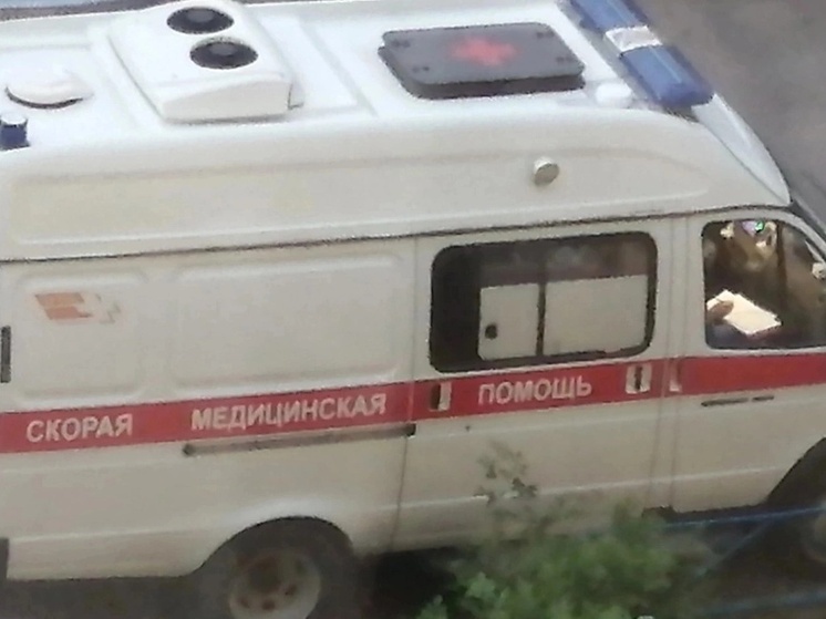 В Оренбурге жеребёнок ударил копытом мальчика