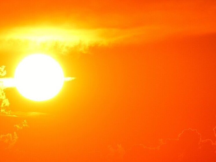 В Москве установилась самая теплая погода с начала года