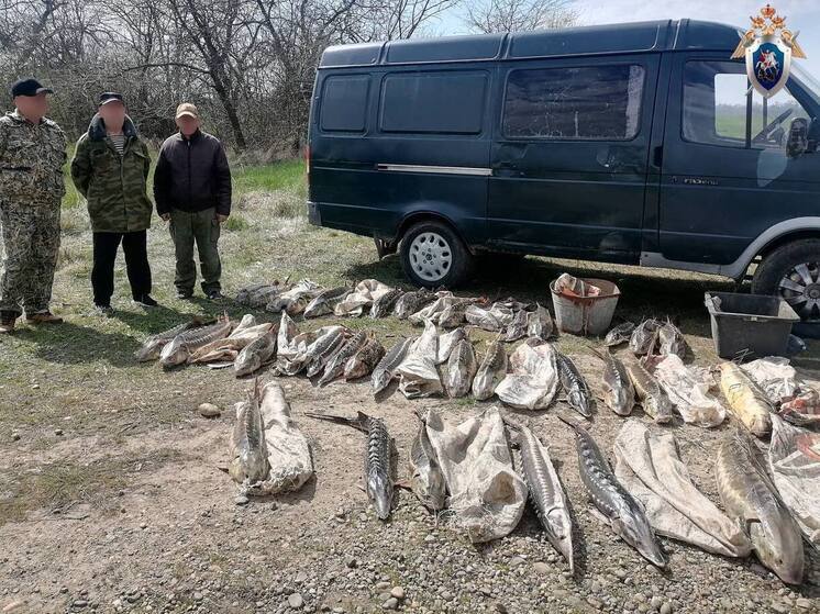 В Приморско-Ахтарском районе 8 жителей подозреваются в незаконной добыче особо ценных видов рыб
