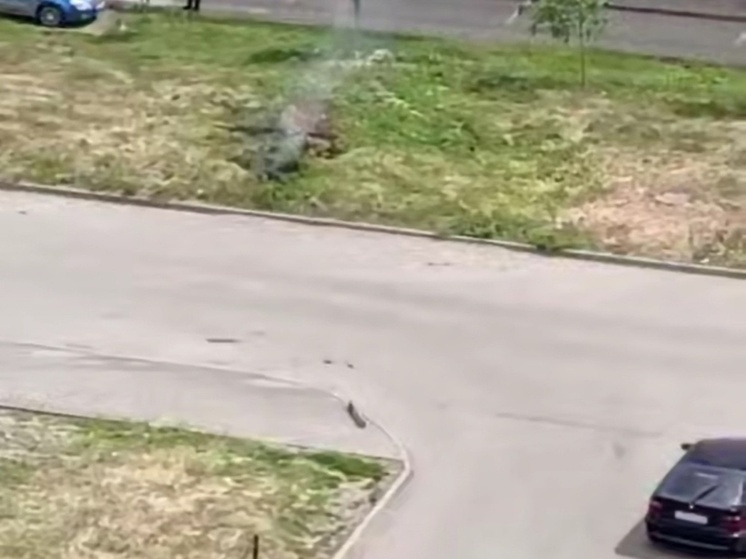 В Ростове на Западном жители пожаловались на взрывы во дворе многоэтажки