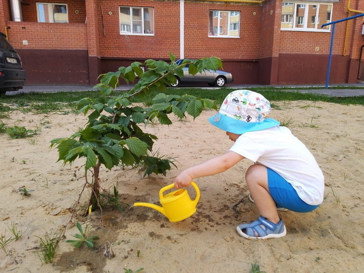 В Марий Эл рассказали о мерах социальной поддержки семей с детьми