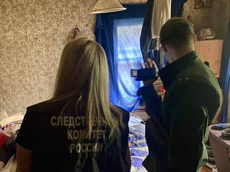 Житель Шексны задержан за попытку убийства собутыльника